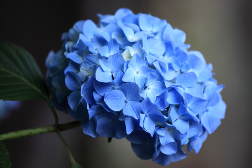 632862 (a): :1920x1280